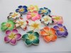 20 Fimo Beads Frangipani Jewellery Finding Mixed