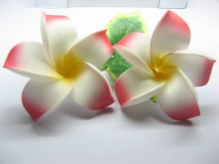 50 New Pink Fabulous Foam Frangipani Flower 8x3.5cm