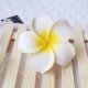 30 New Fabulous Foam Frangipani Flower 8x3.5cm 30 New Fabulous Foam Frangipani Flower 8x3.5cm