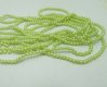 18000 Light Green 4mm Round Simulate Pearl Beads