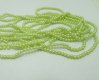 18000 Light Green 4mm Round Simulate Pearl Beads 18000 Light Green 4mm Round Simulate Pearl Beads