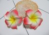 50 New Red & Yellow Fabulous Foam Frangipani Flower 4.5x2cm