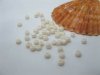 1Bag X 12000Pcs Opaque Glass Seed Beads 3mm Ivory 1Bag X 12000Pcs Opaque Glass Seed Beads 3mm Ivory