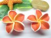 20 Red Fimo Beads Frangipani Jewellery Finding 3cm cf-f7 20 Red Fimo Beads Frangipani Jewellery Finding 3cm cf-f7