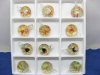 12 Mushroom In Round Transparent Glass Pendants
