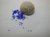 28000pcs New Glass Seed Beads 2-3mm be-gs-ch10 28000pcs New Glass Seed Beads 2-3mm be-gs-ch10