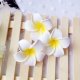 50 New Fabulous Foam Frangipani Flower 4.5x2cm 50 New Fabulous Foam Frangipani Flower 4.5x2cm