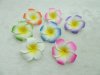 50 New Fabulous Foam Frangipani Flower 4.5x2cm Mixed